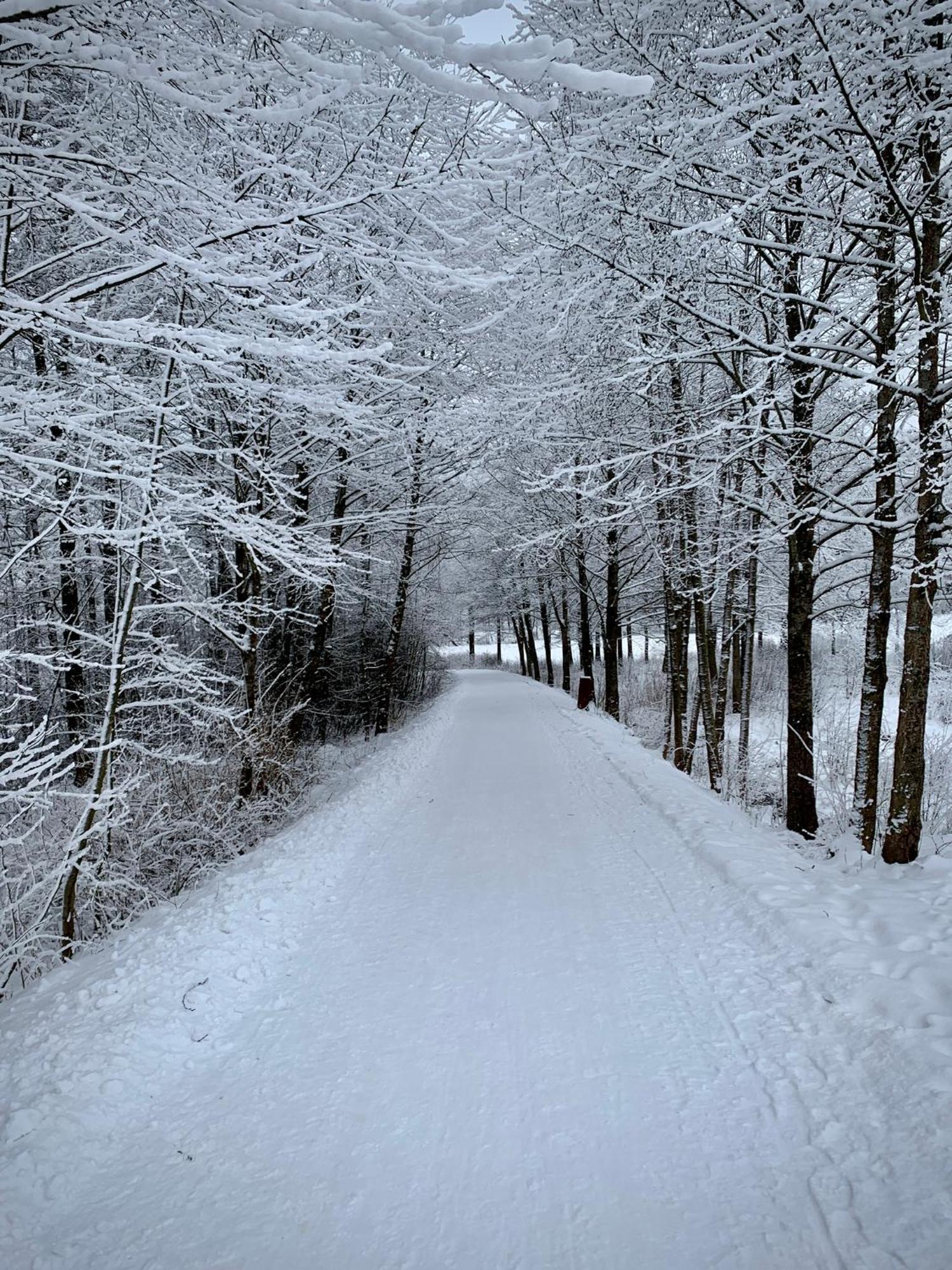Nase Chata Lipno Lipno nad Vltavou Exterior photo